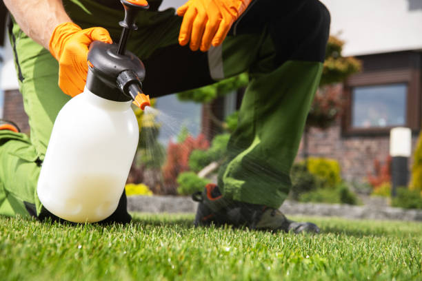 Professional Pest Control in Olmsted Falls, OH