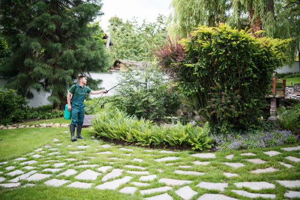 Best Wasp Removal Services  in Olmsted Falls, OH