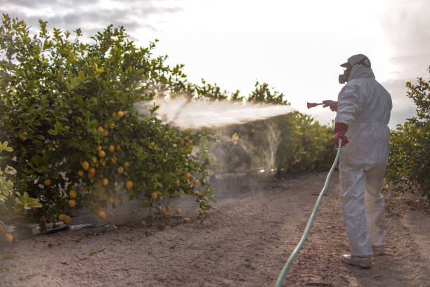 Best Pest Prevention Services  in Olmsted Falls, OH