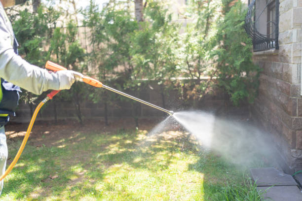 Best Pest Inspection Near Me  in Olmsted Falls, OH