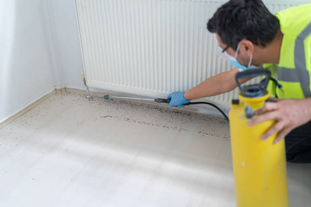 Best Cockroach Control Services  in Olmsted Falls, OH