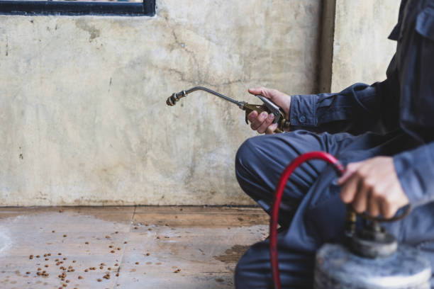 Best Best Pest Control Companies  in Olmsted Falls, OH